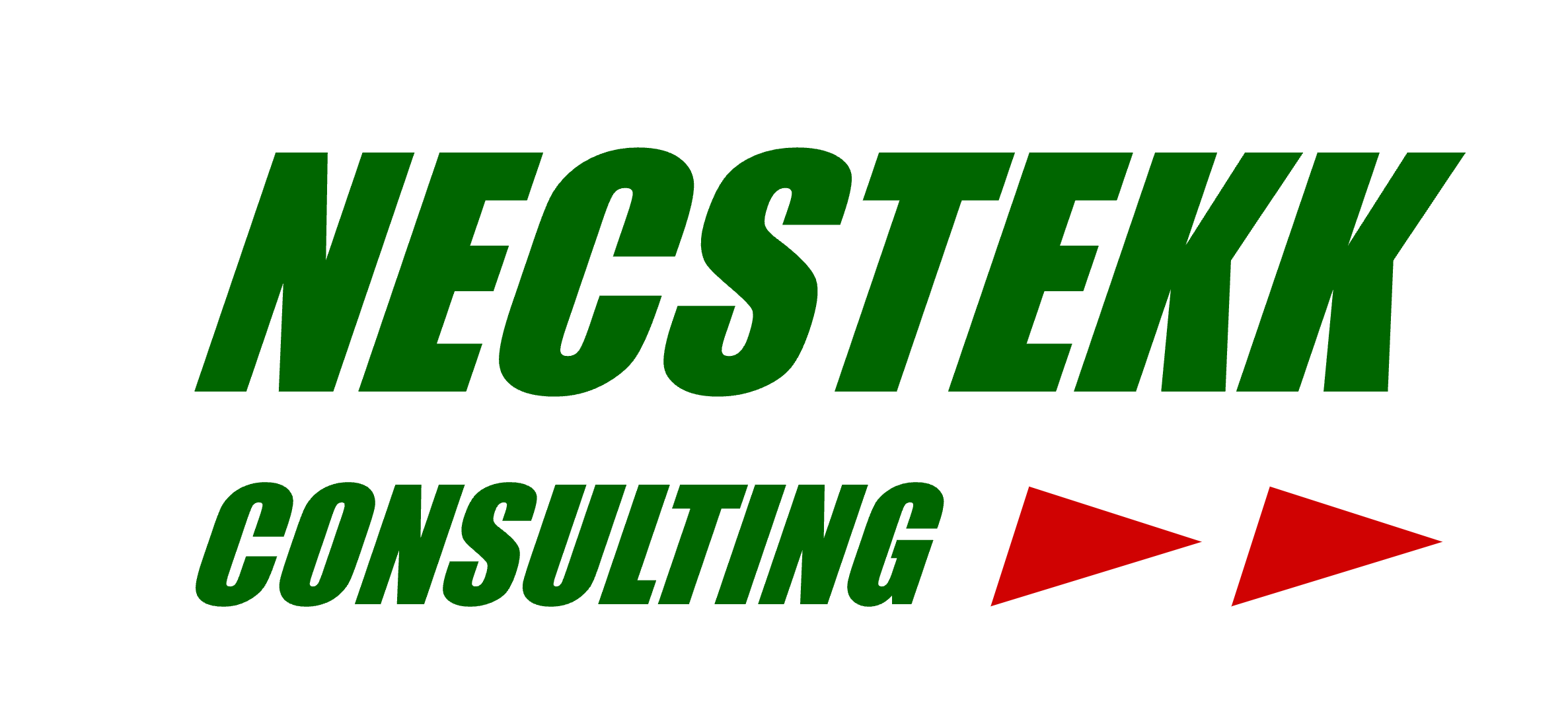 Necstekk Consulting